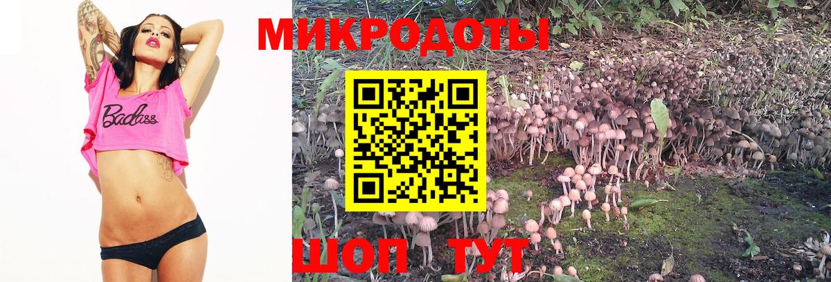Псилоцибиновые грибы Magic Shrooms Саратов