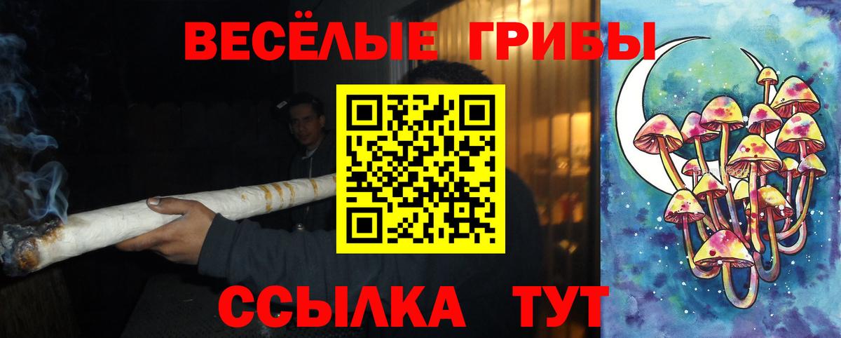 Саратов  Галлюциногенные грибы мицелий  Вход с VPN 